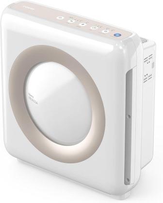 Coway Airmega Mighty